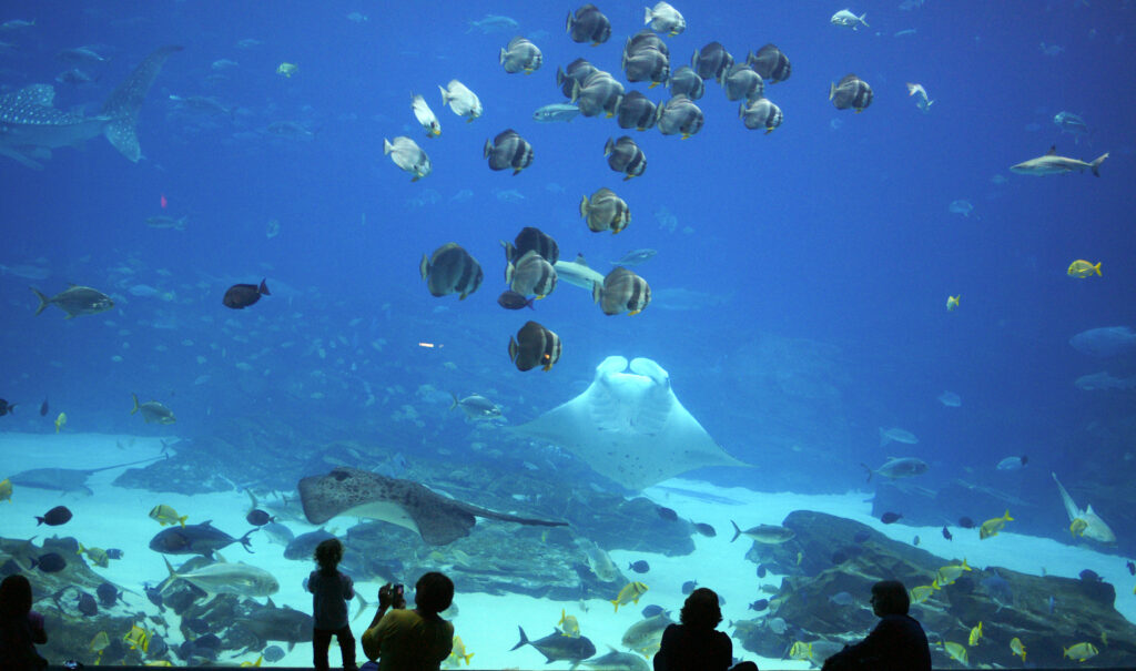 L’aquarium géant de l’hôtel AquaDom de Berlin contenant 1500 poissons explose