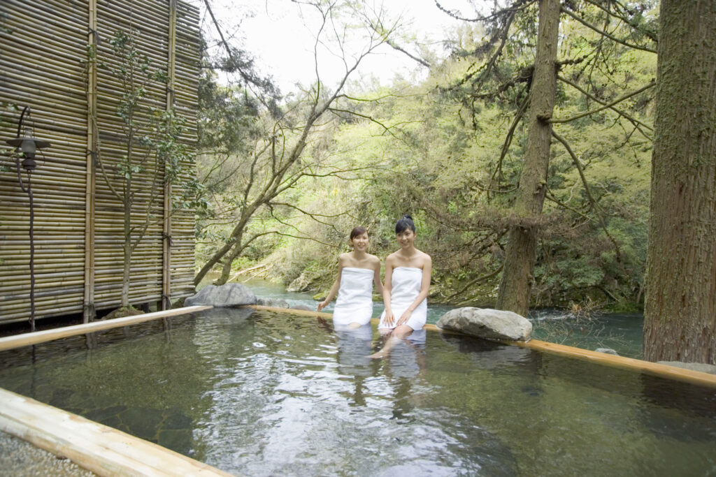 Une Oasis de Détente au Cœur de la Forêt : Piscine et Spa