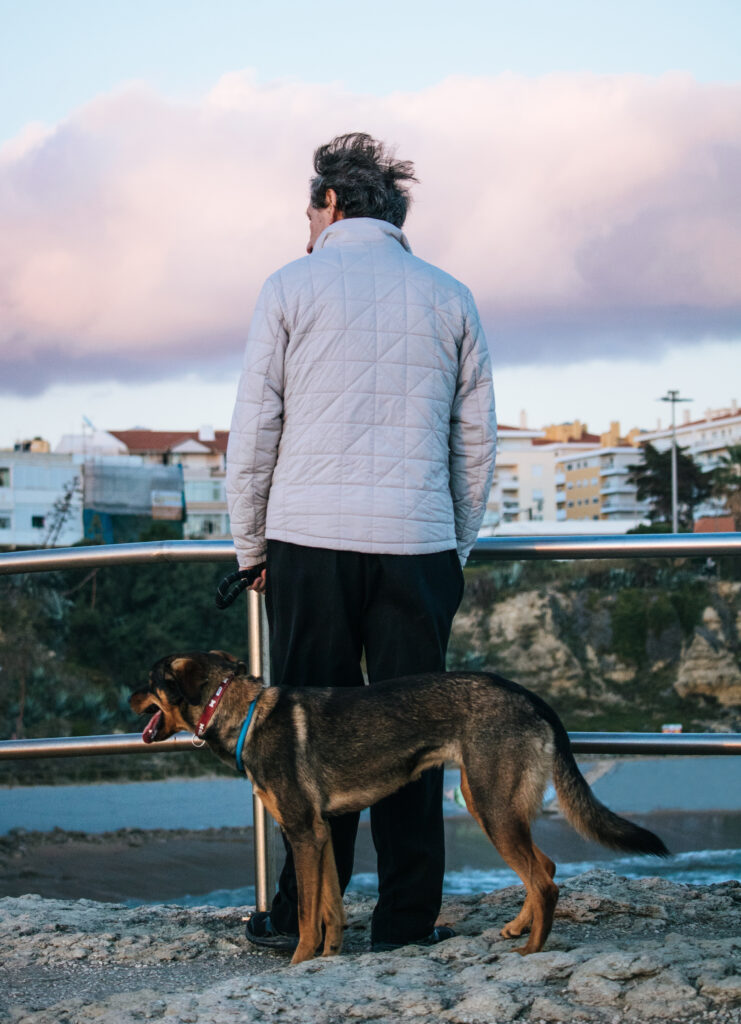 Le gangster devenu flic fait la coure pour sauver l’histoire de la pègre de Chinatown