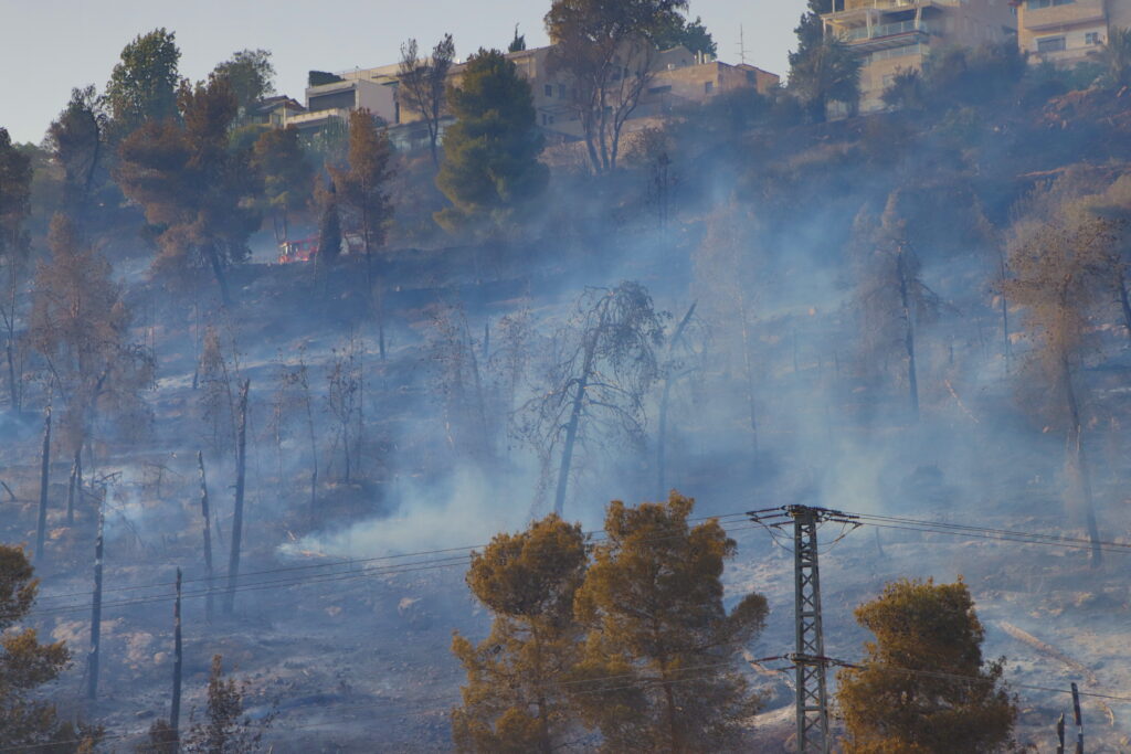 Feux de forêt au grand nord Canadien : état d’urgence et évacuations massives