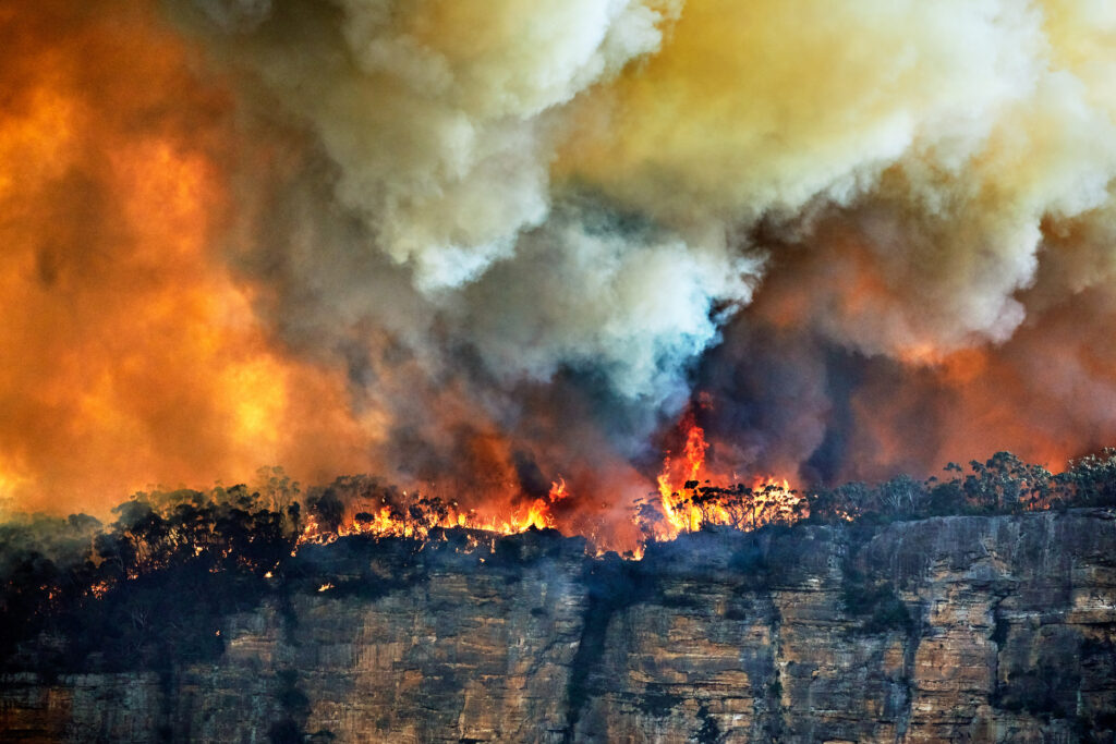 Appel à la mobilisation pour la saison des feux 2023 : des acteurs de l’environnement en action