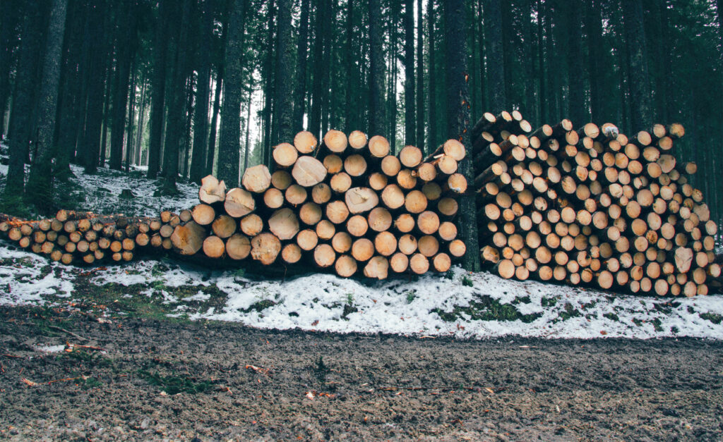 Carion  : Trois personnes arrêtées pour trafic illégal de bois