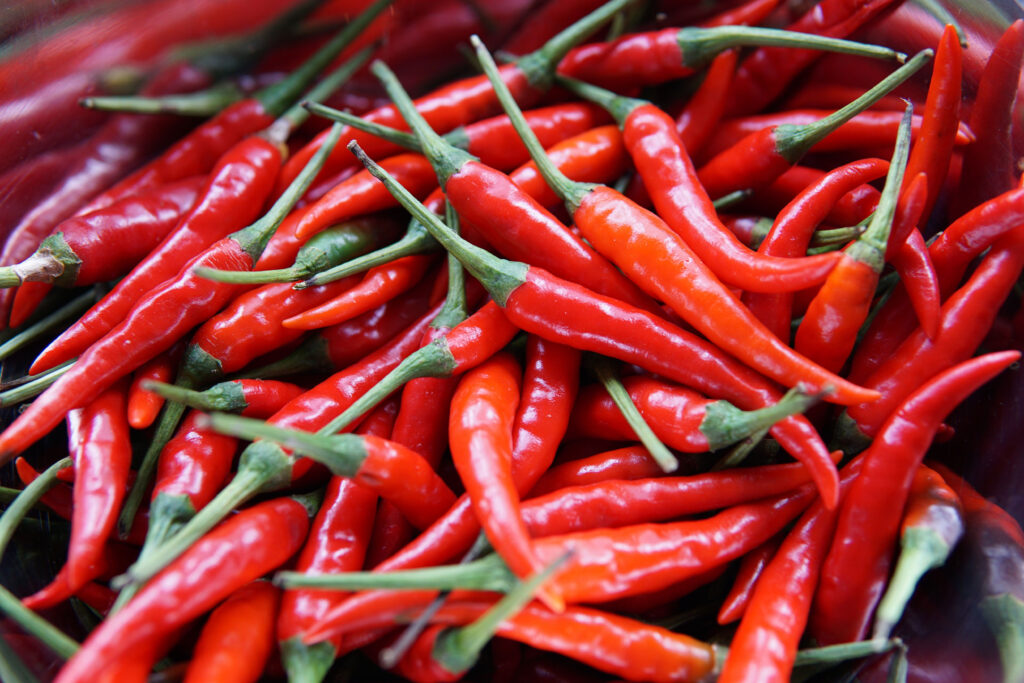 Piment rouge : Une explosion de saveurs audacieuses