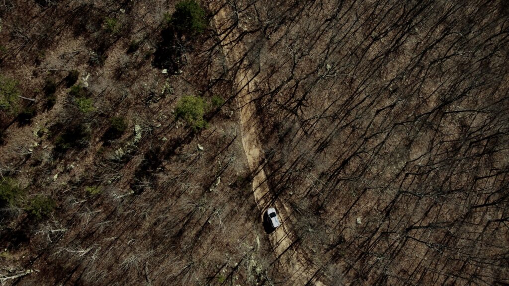 Le Brésil accueille un sommet crucial pour la préservation de l’Amazonie
