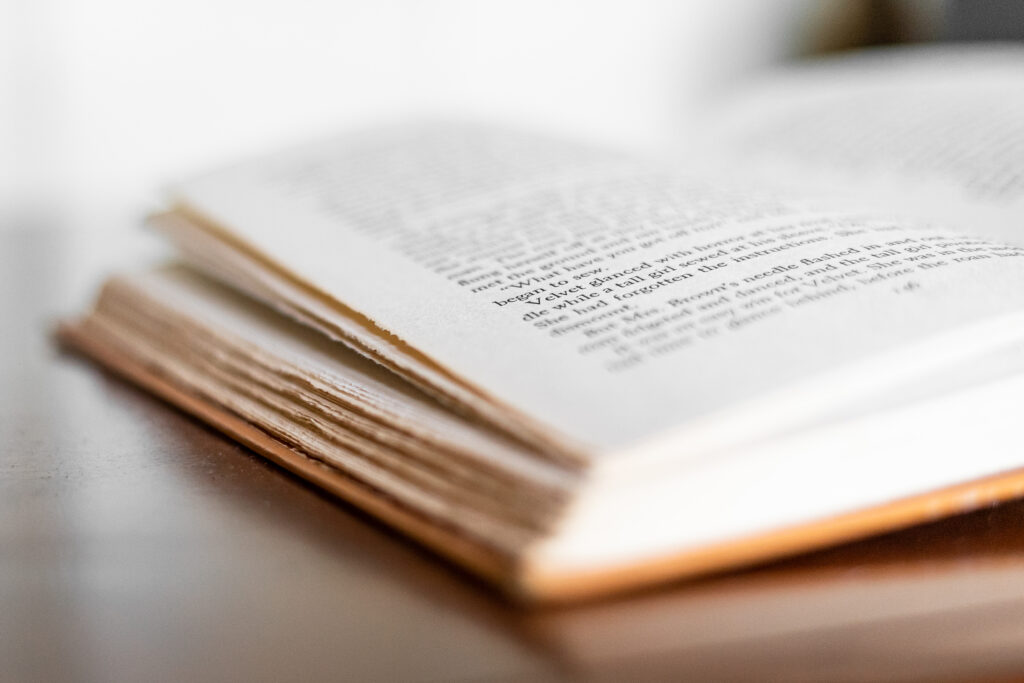 Madagascar: La loi sur les investissements a été adoptée par les députés