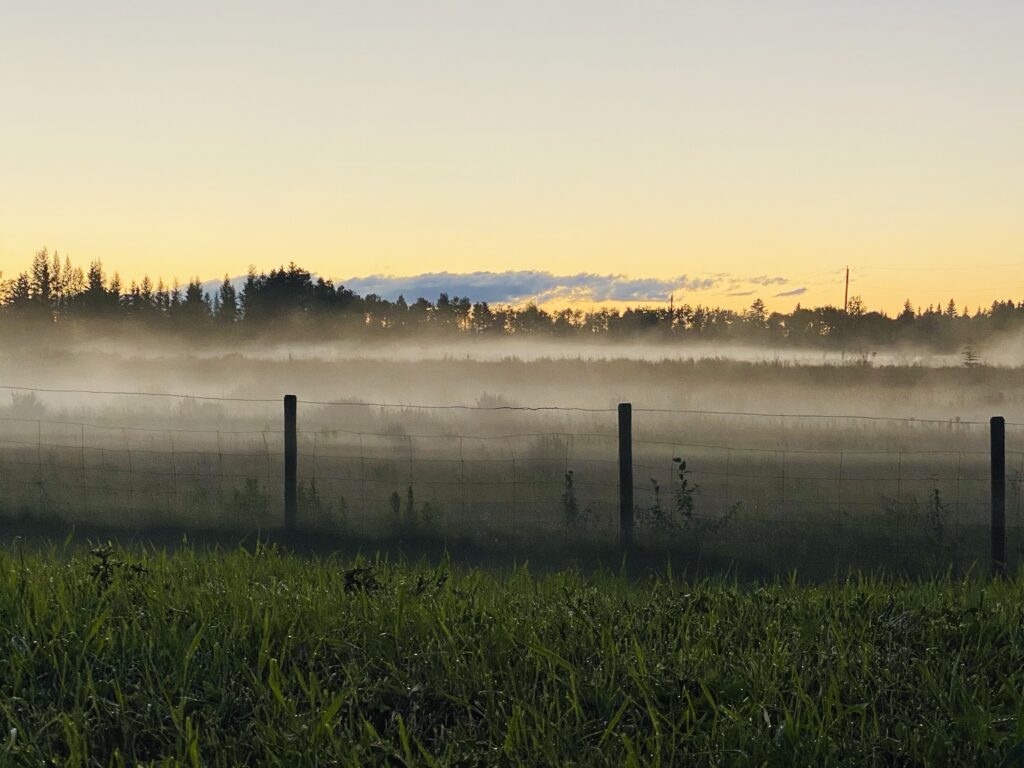 L’utilisation des pesticides en France entraîne un effondrement de la biodiversité