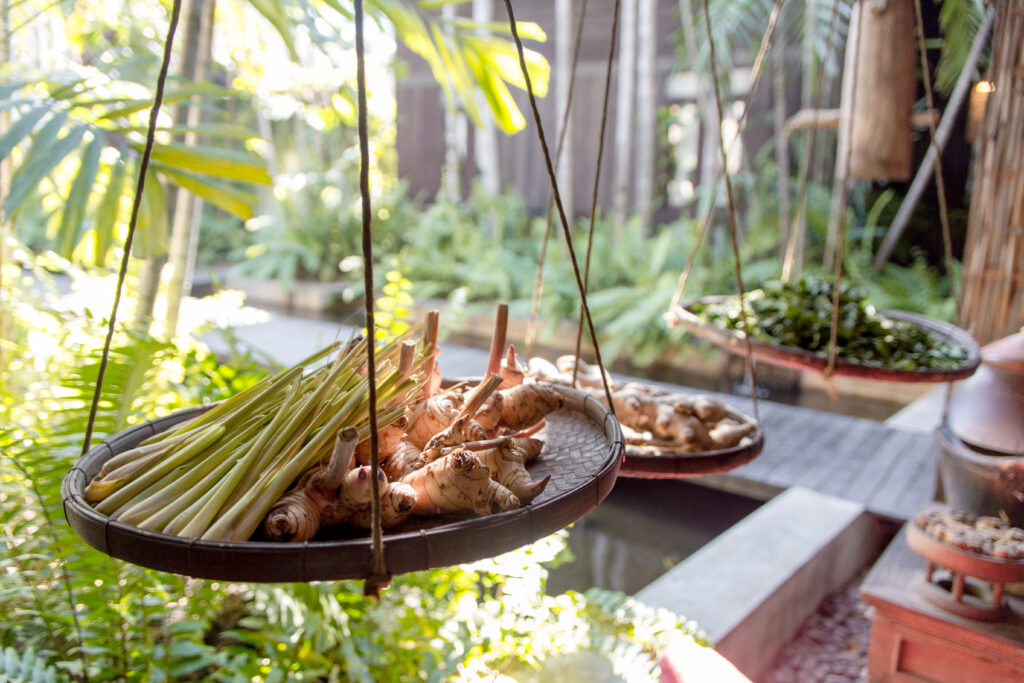 Citronnelle fraîche : Saveur citronnée et bienfaits santé