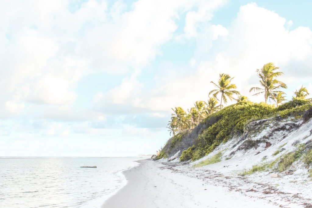 Salary Bay : l’oasis tropicale à découvrir absolument.