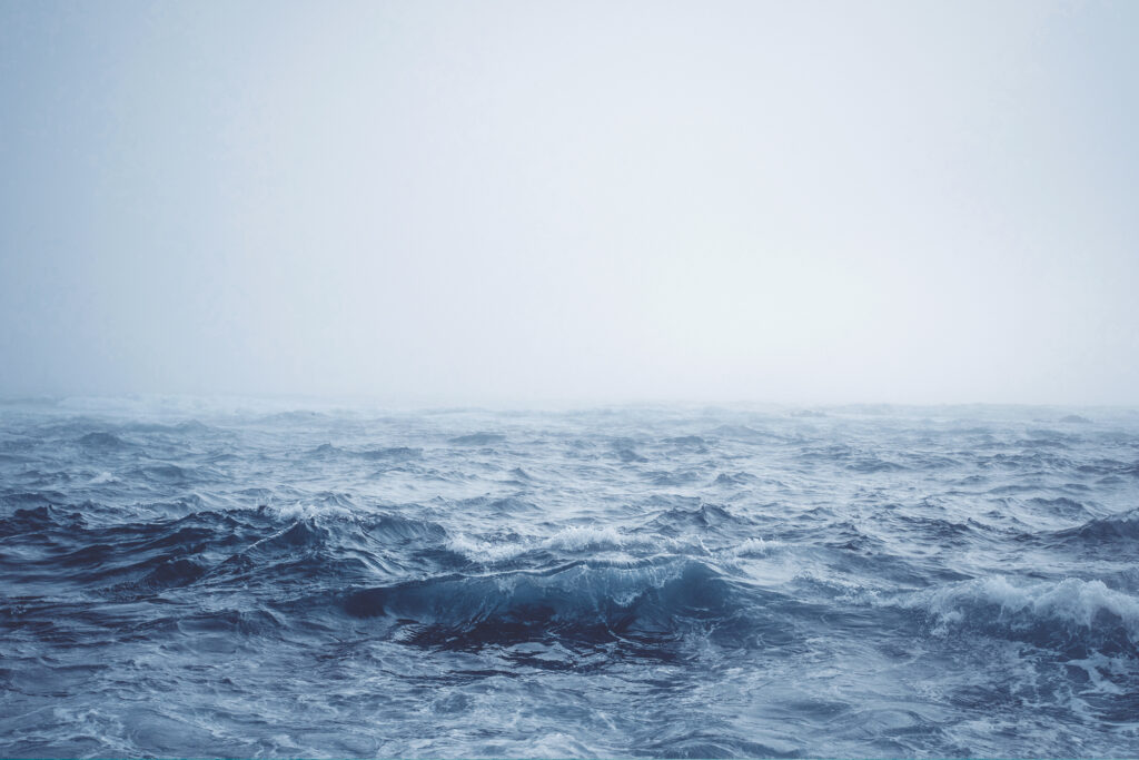 Création de sanctuaires marins éloignés : Le nouveau traité sur la haute mer ouvre la voie