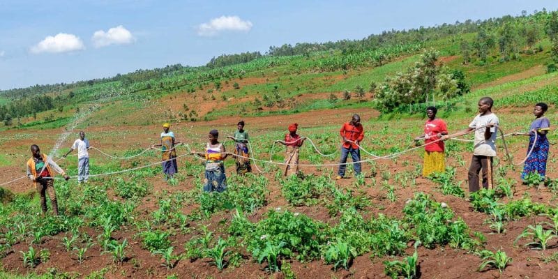Révolution agricole : l’inauguration du guichet unique agricole, une première à Tsiroanomandidy