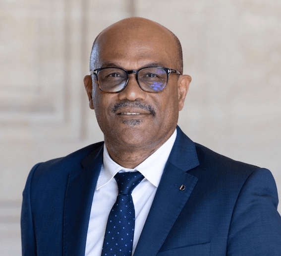 Qui est Dominique Théophile ?