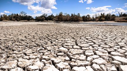Sécheresse dans les Pyrénées-Orientales : Un défi de taille pour la région