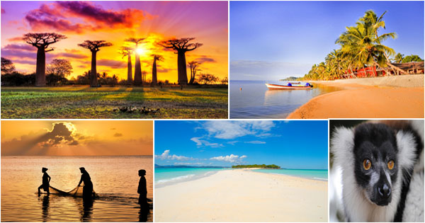 Madagascar : les incontournables à visiter sur l’Île Rouge