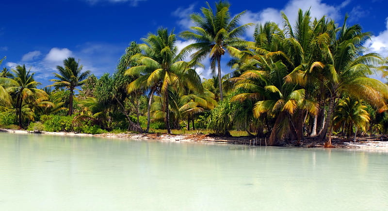 Marakei, Kiribati : vue d’ensemble du coût de la vie sur une île charmante