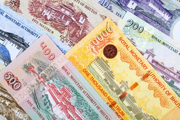 Analyse des salaires au Bhoutan