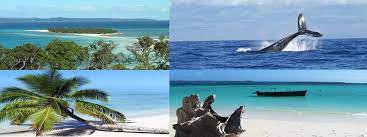 Madagascar : un Hub Emergent pour le tourisme d’affaires