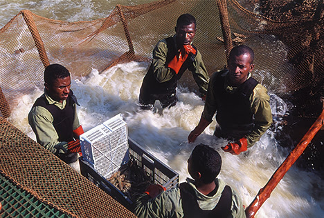 Pêche et aquaculture : Madagascar exporte plus de 32 000 tonnes de produits halieutiques