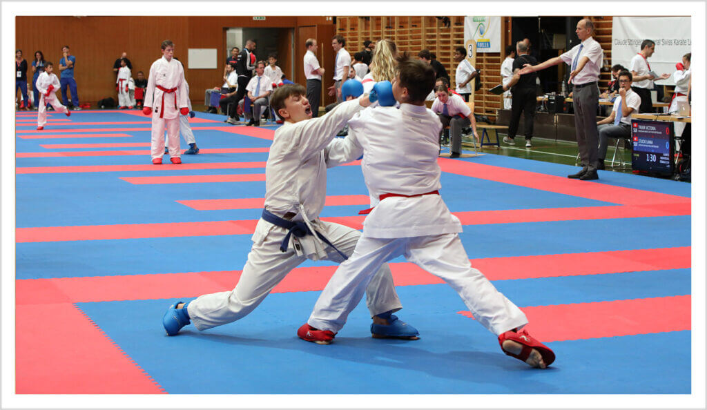 Karaté-Visioconférence : La FMK confirme sa présence au niveau international