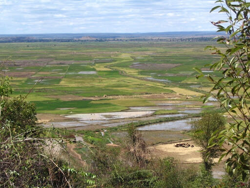 Réhabilitation de 7000 ha de périmètres irrigués à Marovoay pour booster la production rizicole