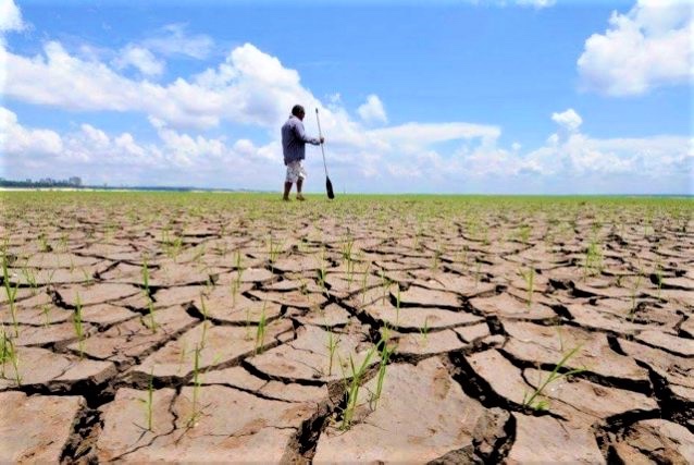 Relance de l’agriculture dans le grand-sud : l’assistance aux victimes des cyclones