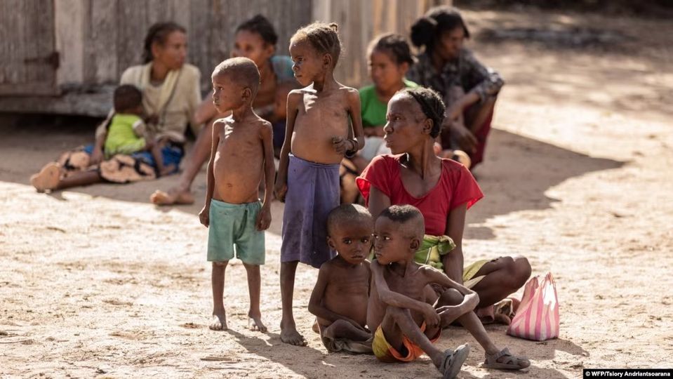 Madagascar et le CIP : un pacte pour la sécurité alimentaire