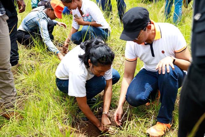 Rotary Club Antananarivo Mahamasina lance un projet majestueux de plantation : « 1 million d’arbres »