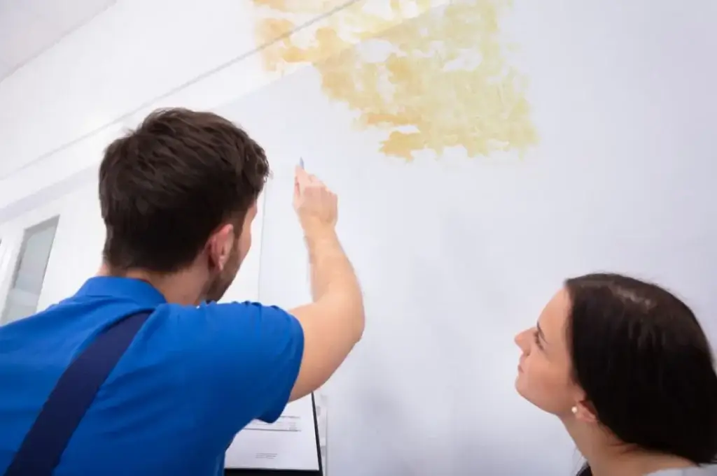 Quel est le meilleur traitement fongicide pour éliminer efficacement les dépôts verts et moisissures ?