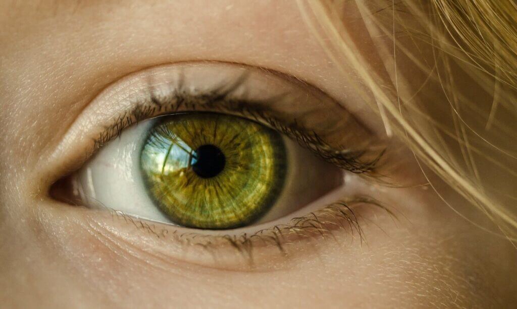 La couleur des yeux la plus rare : les yeux verts