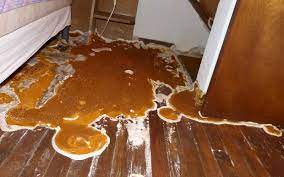 Quel est le meilleur traitement mérule pour protéger vos bois contre cette menace redoutable ?