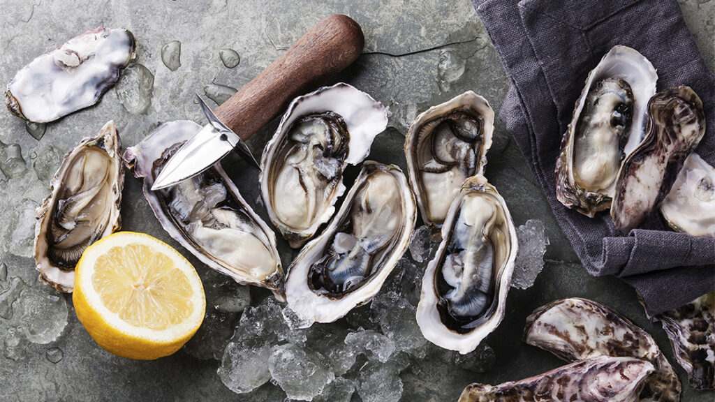 Révolution ostréicole à Kumejima : une nouvelle approche durable