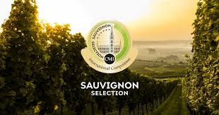 Le Sauvignon Selection : Un concours international dédié aux vins Sauvignon Blanc