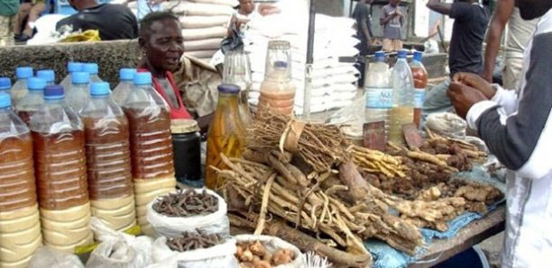 Contrôle des tradipraticiens à Madagascar : entre réglementation et tradition