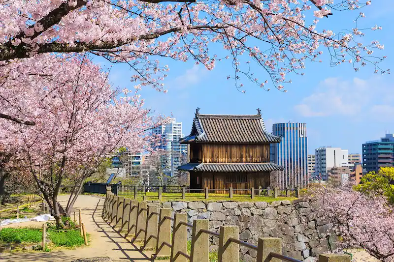 Fukuoka: dynamisme cosmopolite sur les rives du Kyushu