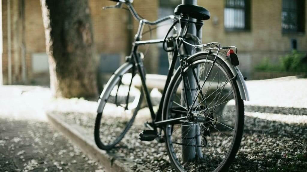Pro Velo Genève : le poumon vert de la mobilité genevoise