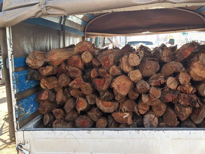 La révolution industrielle de Bongolava : un modèle de développement durable et d’innovation