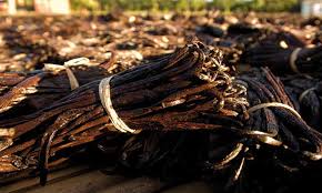 Vanille de Madagascar : Déclin sur le marché mondial