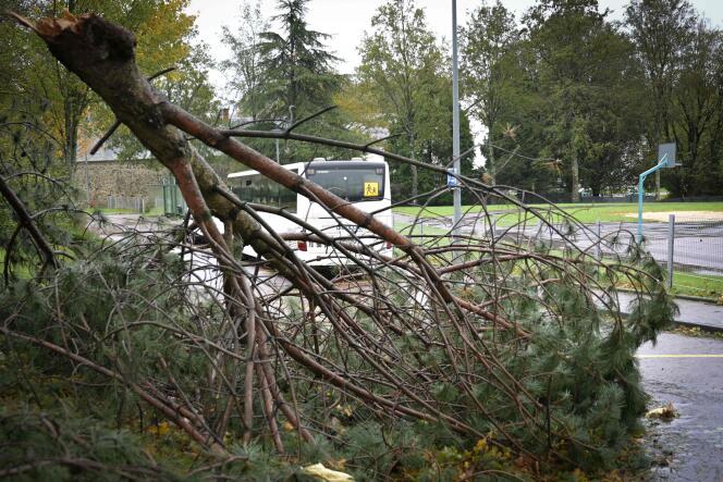 Tempête Ciaran : perturbations majeures dans le Nord-Ouest de la France