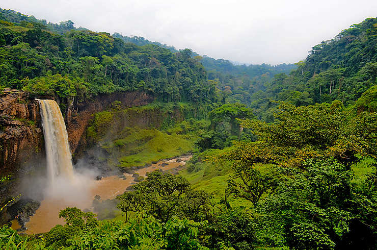 L’impact du salaire minimum sur le tissu économique et social au Cameroun