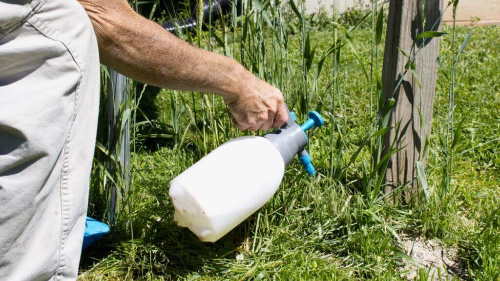 Quel est le meilleur désherbant pour vos espaces extérieurs ?