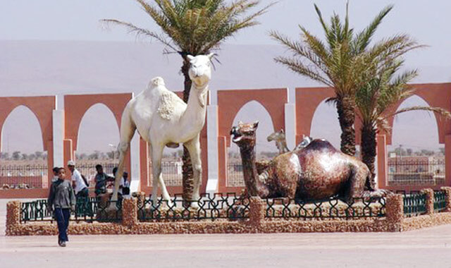 Assa : oasis de sérénité et sécurité au cœur du Sahara marocain