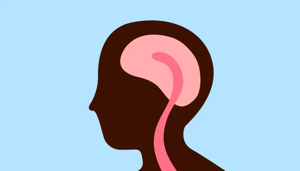 Comment avoir une bonne mémoire : stratégies efficaces ?