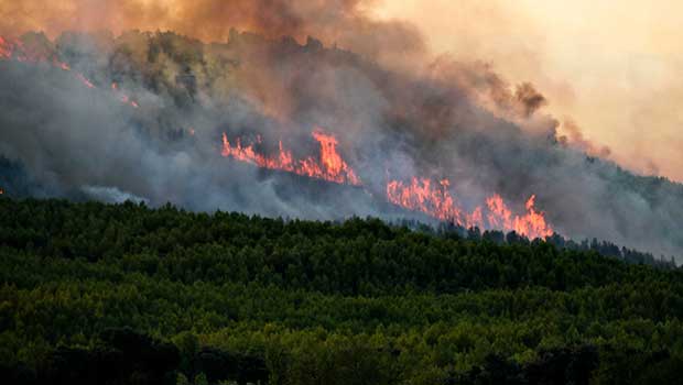 Madagascar face au dilemme écologique : les aires protégées en péril