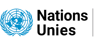 Intervention des Nations Unies : les élections malgaches sous surveillance internationale