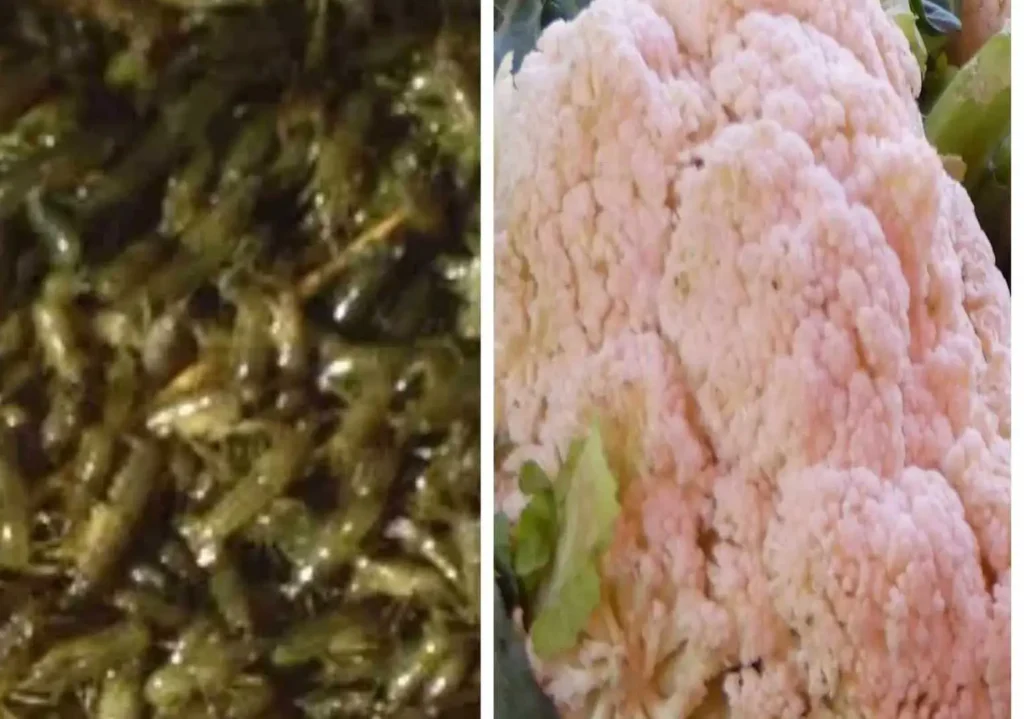 Cuisine économique à Madagascar : le duo foza orana et chou-fleur