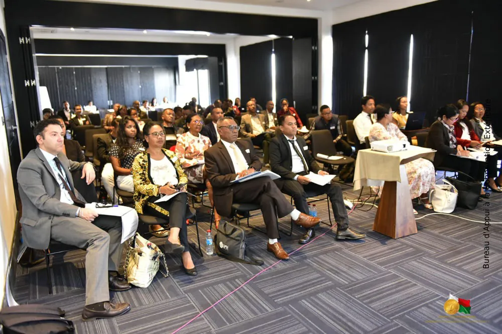 Énergie et durabilité : lancement du plan biomasse pour la région Itasy