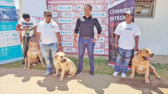 Montée en compétence des propriétaires de chiens à Madagascar : vers une ère de professionnalisme