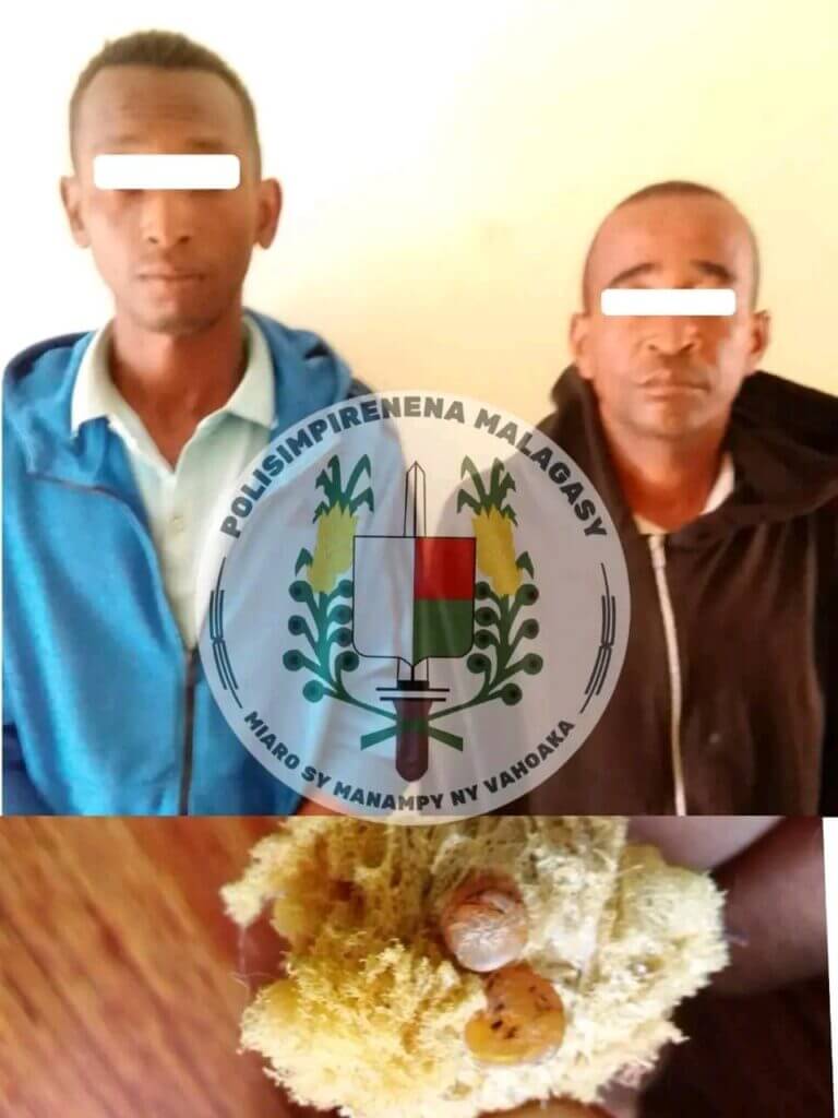 Ranohira : deux hommes arrêtés par la Police nationale pour vente d’yeux