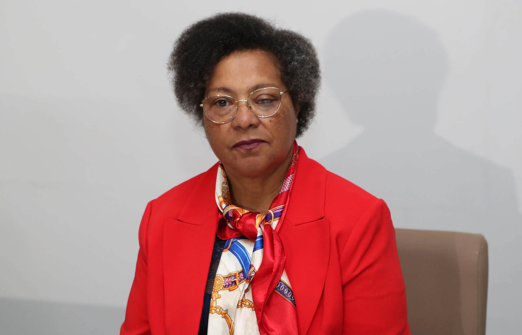 Qui est Luísa Grilo, la femme politique ?