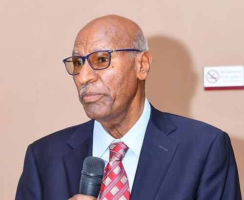 Qui est Arefaine Berhe ?