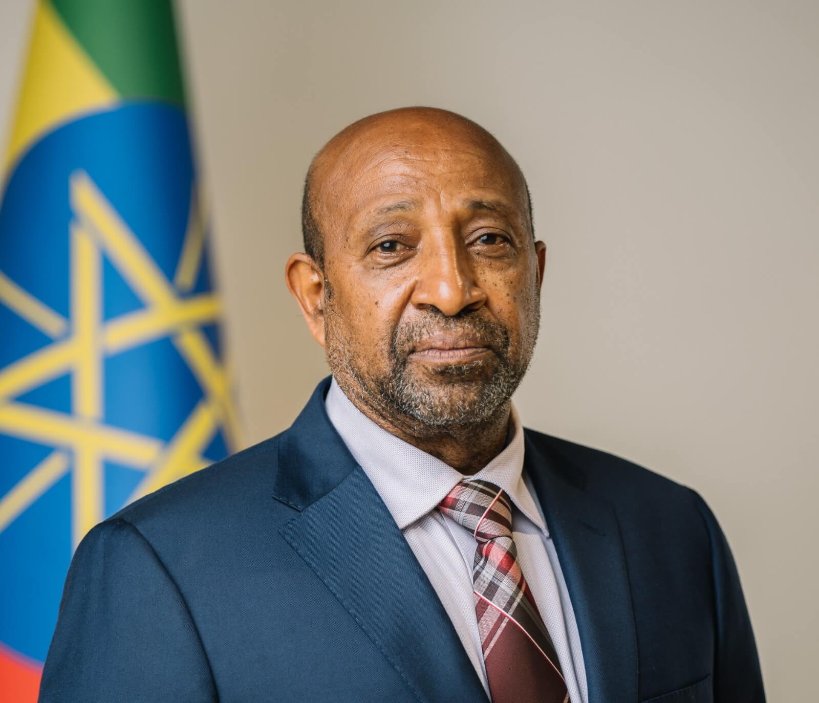 Qui est Berhanu Nega ?